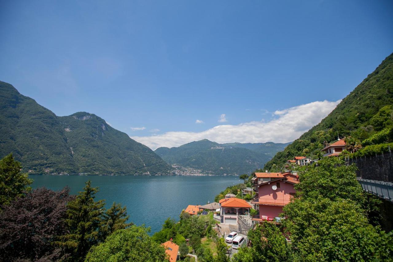 Apartament Al Porticciolo Nesso Zewnętrze zdjęcie