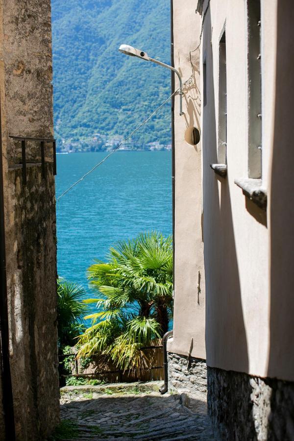Apartament Al Porticciolo Nesso Zewnętrze zdjęcie